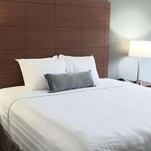Large King Room